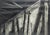 Why This Work Matters Parry transforms exposed beams and weathered supports into a dramatic study of strength, light, and...