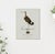 Paper William Lewin 1789 Waterbirds Fine Art Gallery Board Print - Black Tailed Godwit For Sale - Image 7 of 13
