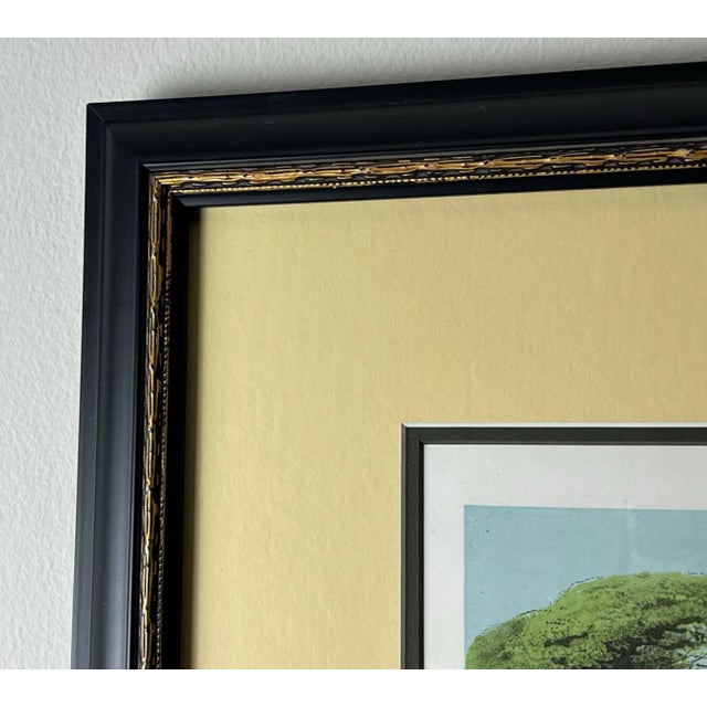 Mid 19th Century Late 19th-Century Lithograph of Tuscan Villa For Sale - Image 5 of 7