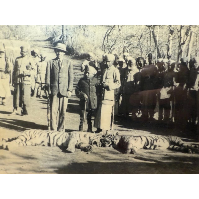 Indian Antique Original 19th Century Framed Indian Dual Tiger Hunt Sepia Photographs For Sale - Image 3 of 13