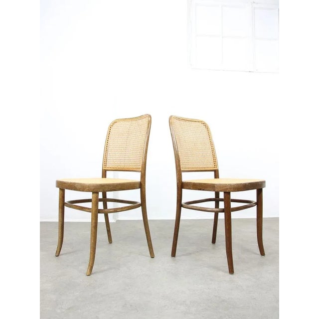 Wood No. 811 Chairs from Michael Thonet, 1970s, Set of 4 For Sale - Image 7 of 12