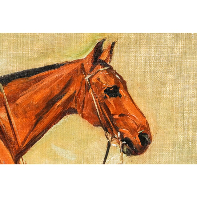 1900 - 1909 Wonderful Antique Oil Painting of Horse Signed Equestrian Portrait in Gilt Gesso Frame English Country Art For Sale - Image 5 of 13
