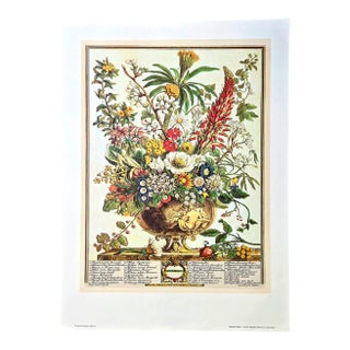 1980s Vintage Robert Furber December Botanical From "Twelve Months of Flowers” Pierpont Morgan Library Print For Sale
