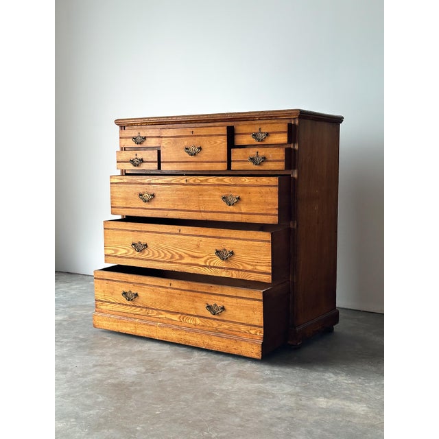 Jas Shoolbred & Co. Ash Chest of Drawers, England, 19th Century For Sale - Image 13 of 18