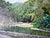 1970s 1970s Vintage Tropical River Landscape Oil on Canvas Painting, Framed For Sale - Image 5 of 12