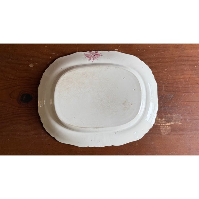 A Very Fine Antique Pink Transferware Decorated Staffordshire Platter "Asiatic Plants" Pattern, Circa 1840's For Sale - Image 13 of 14