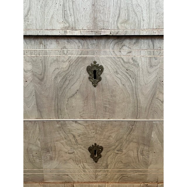 19th Century Carlo X Italian Bleached Walnut Chest of Drawers For Sale - Image 12 of 15