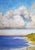 2020s Ano Nuevo Beach Lynne French Pacific Coast Seascape Landscape O/C For Sale - Image 5 of 8