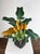 1950s Mid-Century Hand-Carved Wooden Banana Tree Sculpture, South America, 1950s For Sale - Image 5 of 18