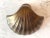 1970s Brass Clam Shell Door Knocker For Sale - Image 6 of 15