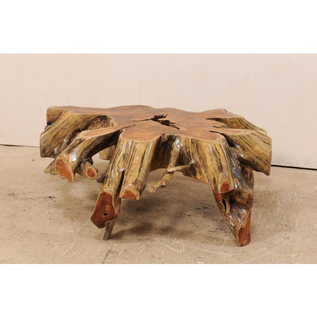 Mid 19th Century Organic Modern Tree Root Coffee Table For Sale - Image 4 of 12