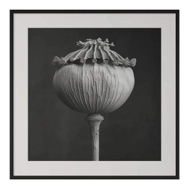 'Poppy Pod Head' No. 3 - Black and White Botanical Floral Photography Print / Karl Blossfeldt For Sale