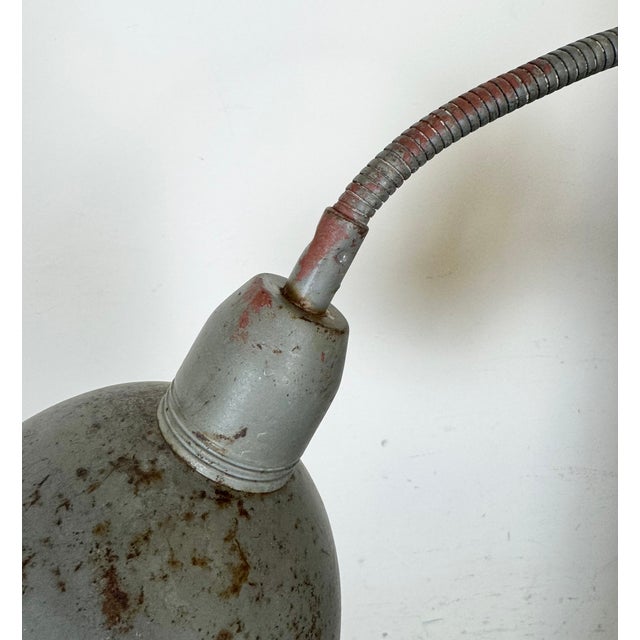Gray Industrial Grey Gooseneck Scissor Wall Lamp from Elektroinstala, 1960s For Sale - Image 8 of 18