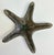 Brass Vintage Solid Brass Starfish Paper Weight For Sale - Image 8 of 8