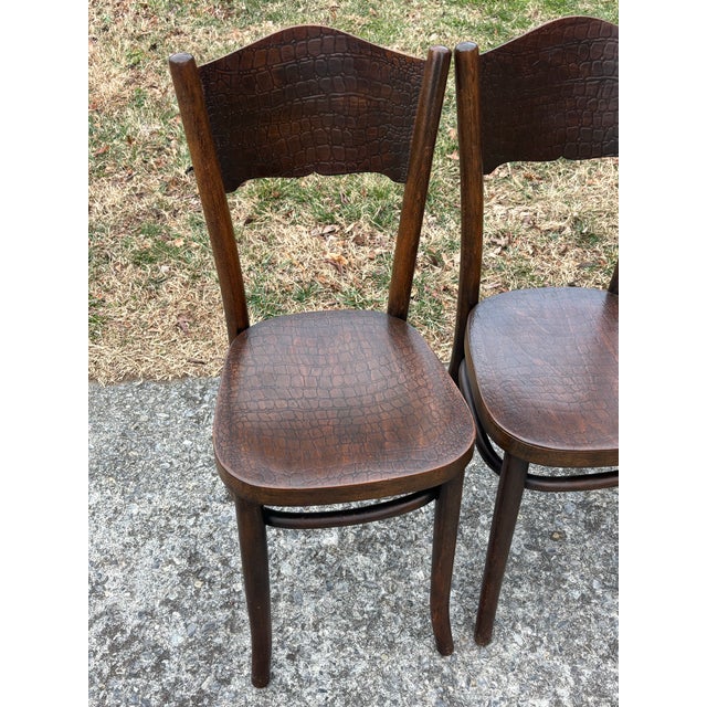 1920s Model 255 Thonet Bentwood Chairs "Crocodile" Pattern, Set of 4 For Sale - Image 6 of 13