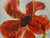 Lis Petersen, Poppies, Collage & Watercolor on Canvas, 2008 For Sale - Image 10 of 18