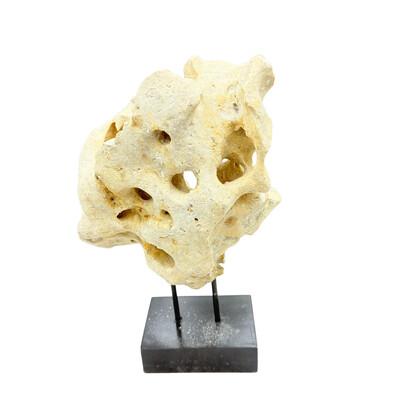 Tribal Indonesian Coral Stone On Teak Stand For Sale - Image 3 of 5