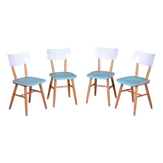 Mid-Century Dining Chairs in Beech, Czechia, 1950s, Set of 4 For Sale