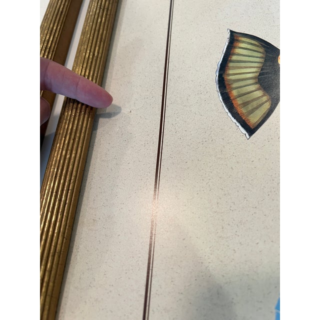 Late 20th Century 'Tropical Fish 1 & 2' Art Prints by Maggie Riegler - Pair For Sale - Image 11 of 11