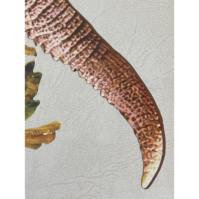 1970s Cool Pair of Jurassic Dinosaurs Collages Framed For Sale - Image 9 of 10