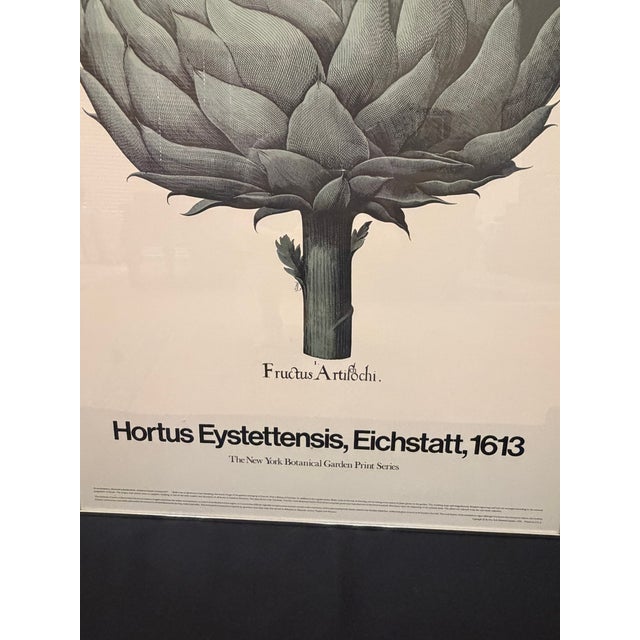 1980s Museum Botanical Art Poster – Fructus Artischi For Sale - Image 4 of 6