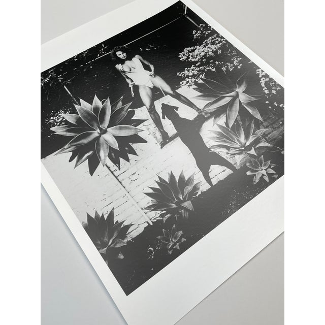 "Raquel Welch, Beverly Hills 1985" Vintage Silver Gelatin Print by Helmut Newton For Sale - Image 4 of 8