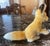 Plush Little Fox With Hazel Eyes and Bushy Tail For Sale - Image 4 of 4