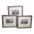 Three Custom Framed Antique Chinoiserie Prints For Sale
