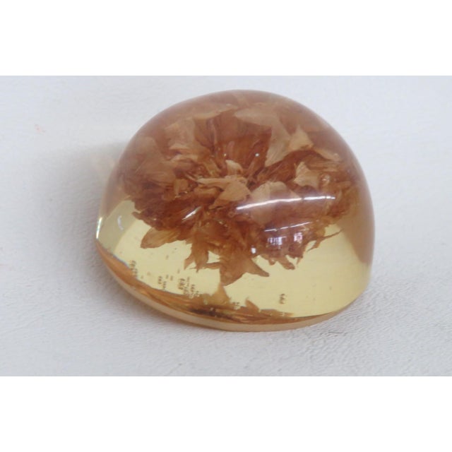 Traditional Dome Shaped Amber Hue Resin Paperweight With Enclosed Dried Flower Petals 5073b For Sale - Image 3 of 4