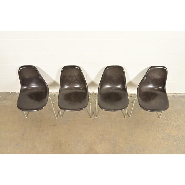 Charles & Ray Eames for Herman Miller DSS Seal Brown Stacking Shell Chairs | Set of Four For Sale In South Bend - Image 6 of 12