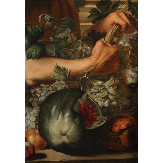 17th Century Bottega Di Abraham Brueghel, Portrait of the Greek Philosopher Diogenes with a Composition of Fruit, 1680, Oil on Canvas For Sale - Image 5 of 14