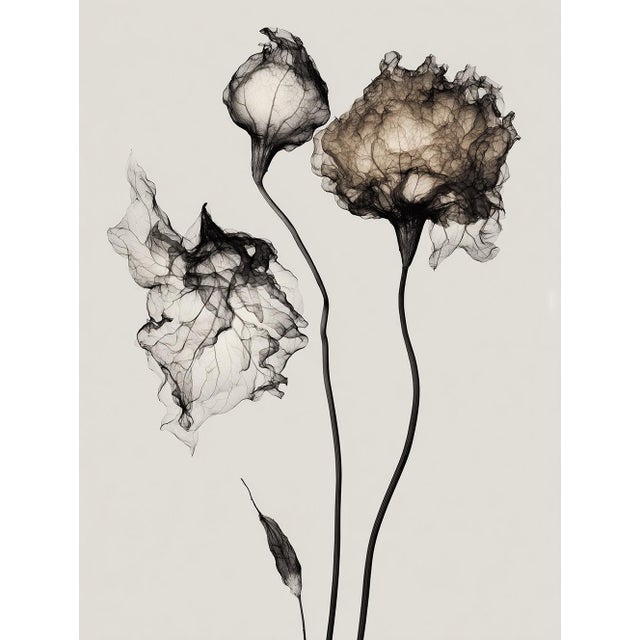 Black Set of 8 — “Flowers” Black & White Botanical Photography Prints | Unframed For Sale - Image 8 of 10