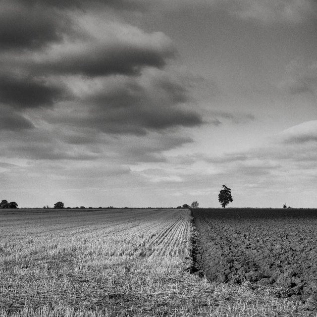 Not Yet Made - Made To Order Paul Cooklin, the Dividing Line, Suffolk, Edition of 50 For Sale - Image 5 of 5