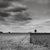 Not Yet Made - Made To Order Paul Cooklin, the Dividing Line, Suffolk, Edition of 50 For Sale - Image 5 of 5