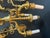 1990s Gherardo Degli Albizzi Pair of Matched Dore Bronze Solid Brass Swan and Arrow Wall Sconces 4 Lights For Sale In Philadelphia - Image 6 of 9