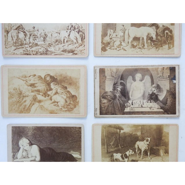 English Antique Collection Grand Tour Horse Dogs Artwork Photographs - Set of 6 For Sale - Image 3 of 6