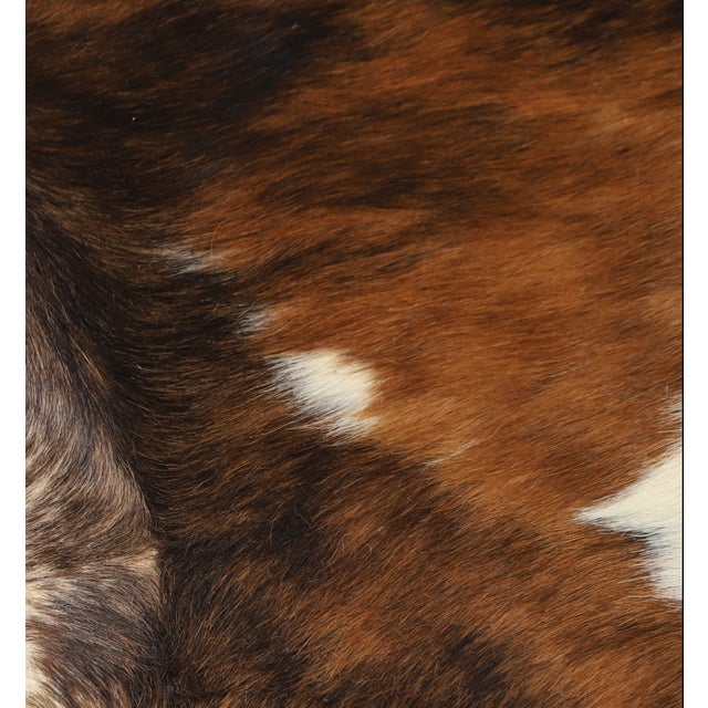 A handsome natural cowhide rug in a striking brindle tricolor pattern. The hide displays a beautiful blend of rich...