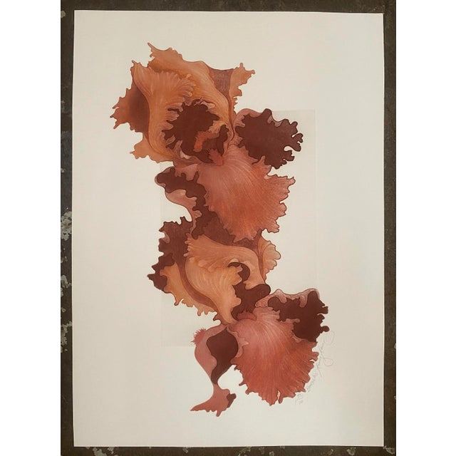 Traditional 1980s Iris Floral Still Life Etching For Sale - Image 3 of 4