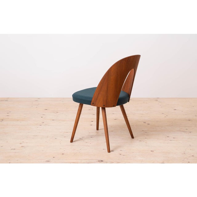 Wood Mid-Century Modern Dining Chairs by A. Šuman, 1960s, Set of 8 For Sale - Image 7 of 18