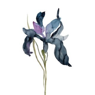 "Iris No. 195" Contemporary Original Botanical Flower Watercolor Painting by Elizabeth Becker For Sale