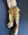 18th Century Spanish Polychrome and Gilt Wood Christ Corpus For Sale - Image 10 of 11