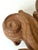 Baroque Carved Wood Ceiling or Wall Light, Tyrol, 1950s For Sale - Image 9 of 12