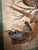 Wood Vintage Sporting Bird Print, Framed For Sale - Image 7 of 7
