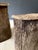 Antique Artisan Made Cork Side Tables, Portugal, 1890s, Set of 2 For Sale - Image 16 of 17