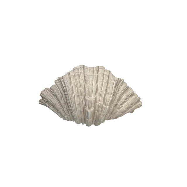 A large wall lamp with a distinctly organic shell-like shape, in the style of Serge Roche, comprising a thick plaster...