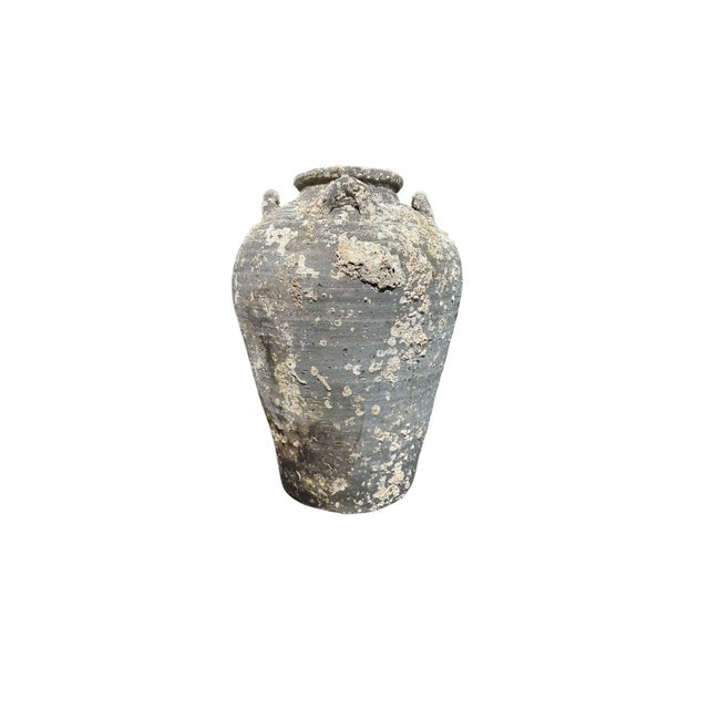 1900s Sawankhalok Ship Wreck Jar From the Kingdom of Sukhothai, Thailand For Sale - Image 4 of 9