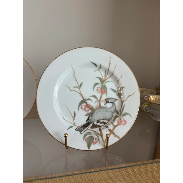 Ceramic Fritz & Floyd Decorative Bird Plates- Set of 3 For Sale - Image 7 of 10