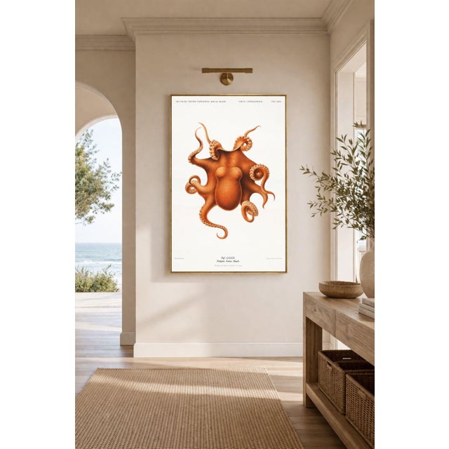 Illustration Antique Reproduction Octopus Study, Deep Sea Expedition Illustration, Coastal Marine Art Print, 24" × 36" For Sale - Image 3 of 9
