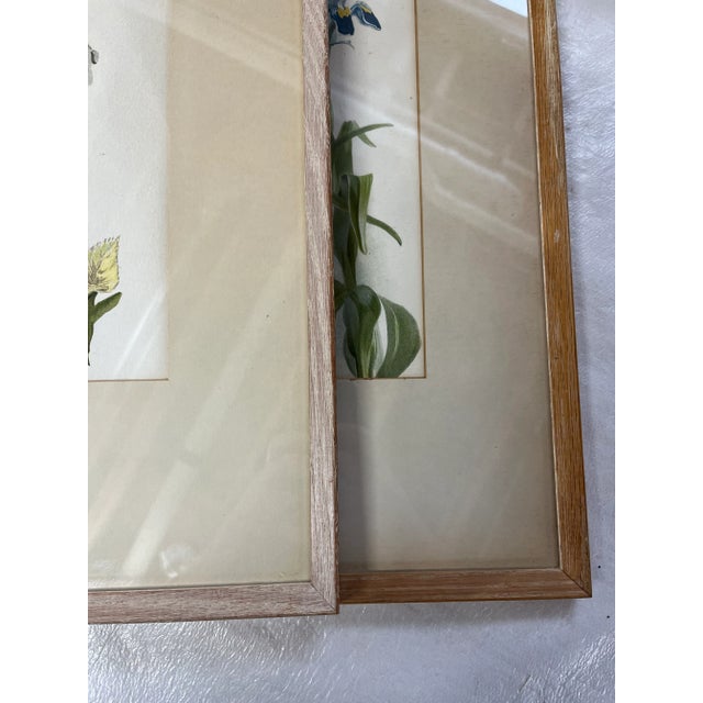 Floral Prints in Light Wood Frame a Pair For Sale - Image 12 of 13