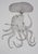 Pierre-Yves Trémois, The Octopus Woman, Original Signed Etching For Sale - Image 7 of 7